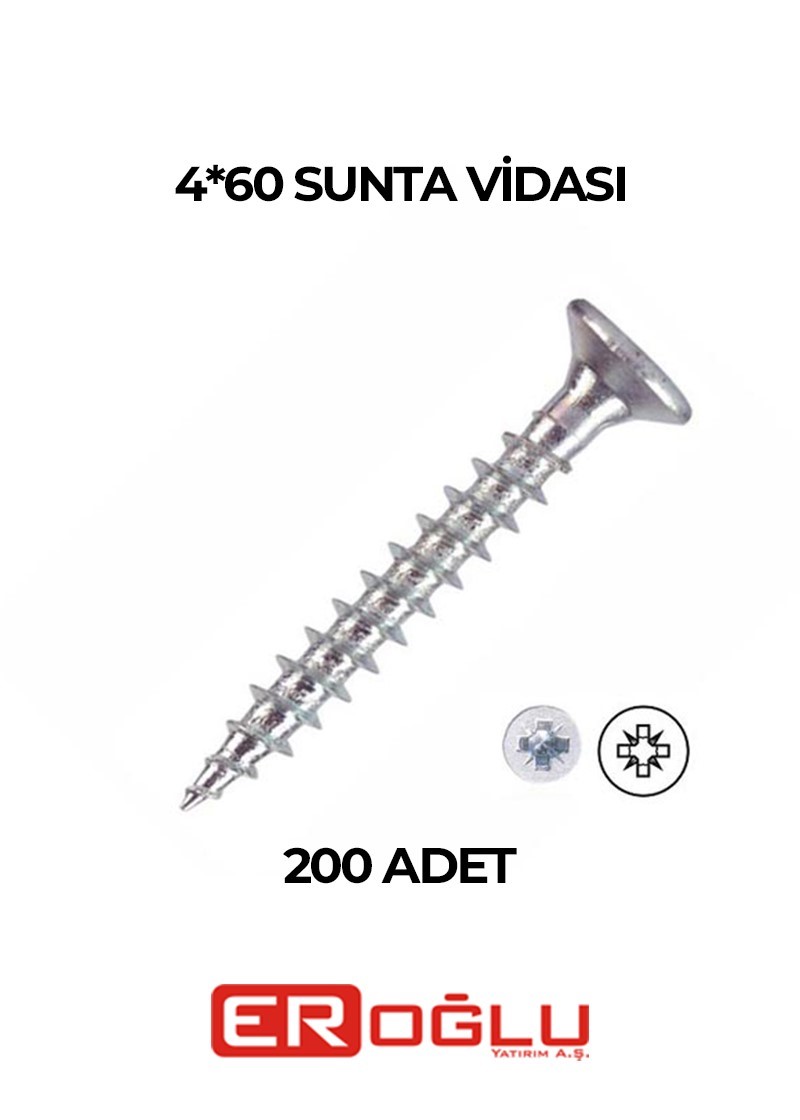 4*60 YAĞMUR SUNTA VİDASI (1 PK 200 ADET) 